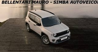 JEEP Renegade usata, con Cerchi in lega