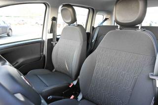 FIAT Panda usata 13