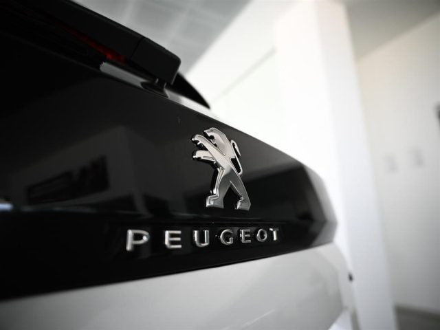 PEUGEOT 3008 usata, con Boardcomputer