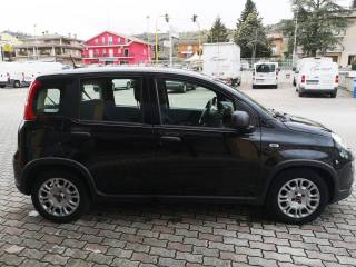FIAT Panda usata, con Controllo trazione