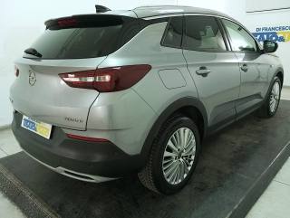 OPEL Grandland X usata, con Fendinebbia