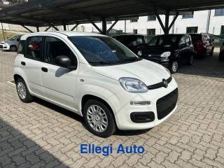 FIAT Panda usata, con Alzacristalli elettrici