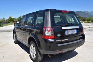 LAND ROVER Freelander usata, con Immobilizzatore elettronico