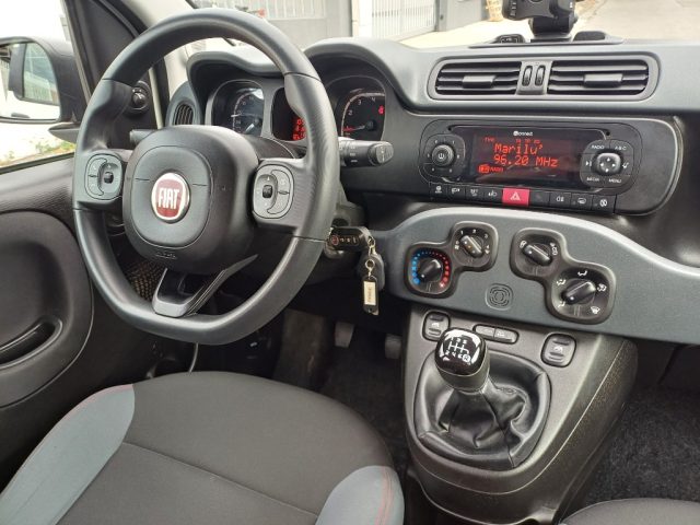 FIAT Panda usata 20