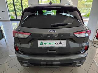 FORD Kuga usata, con Cronologia tagliandi