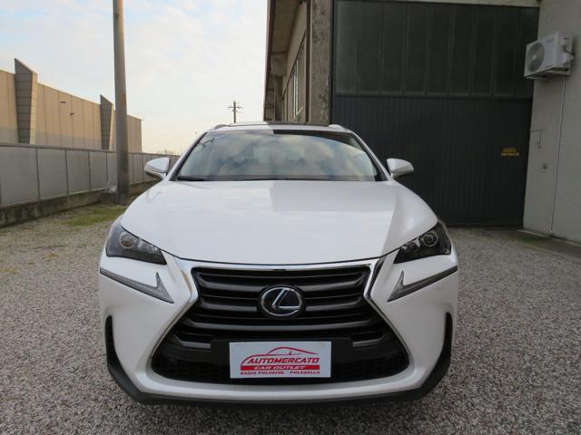 LEXUS NX 300 usata, con Airbag