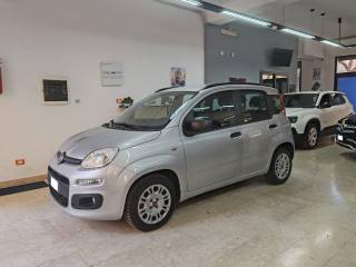 FIAT Panda usata, con Airbag Passeggero