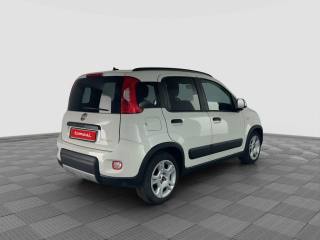 FIAT Panda usata 4