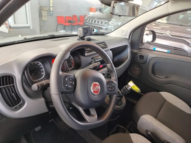 FIAT Panda usata 22