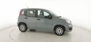 FIAT Panda usata 19