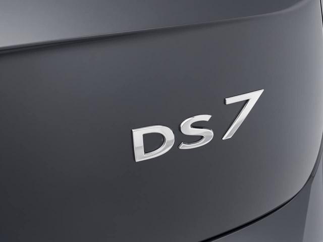 DS AUTOMOBILES DS 7 usata, con Autoradio digitale