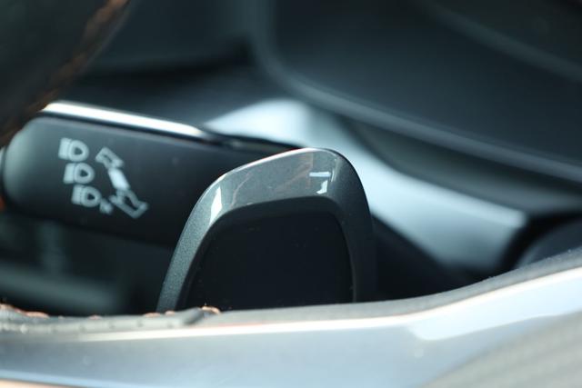 CUPRA Leon usata, con Servosterzo