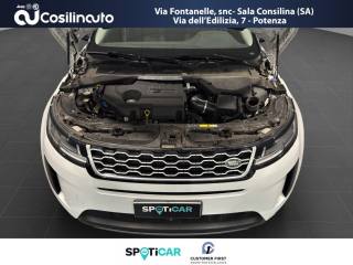 LAND ROVER Range Rover Evoque usata, con USB