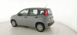 FIAT Panda usata 24