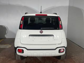 FIAT Panda Cross usata, con Alzacristalli elettrici