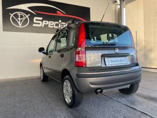 FIAT Panda usata, con Servosterzo