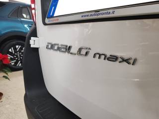 FIAT Doblo usata, con Chiusura centralizzata