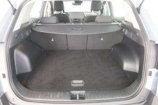 KIA Sportage usata 5