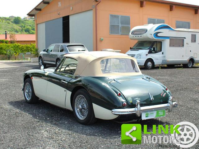 AUSTIN Healey usata, con Ruota di riserva