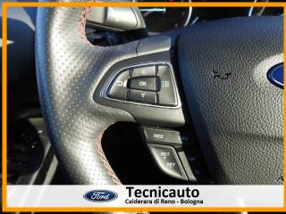 FORD EcoSport usata, con Servosterzo