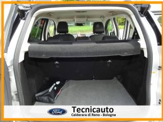 FORD EcoSport usata, con Volante multifunzione
