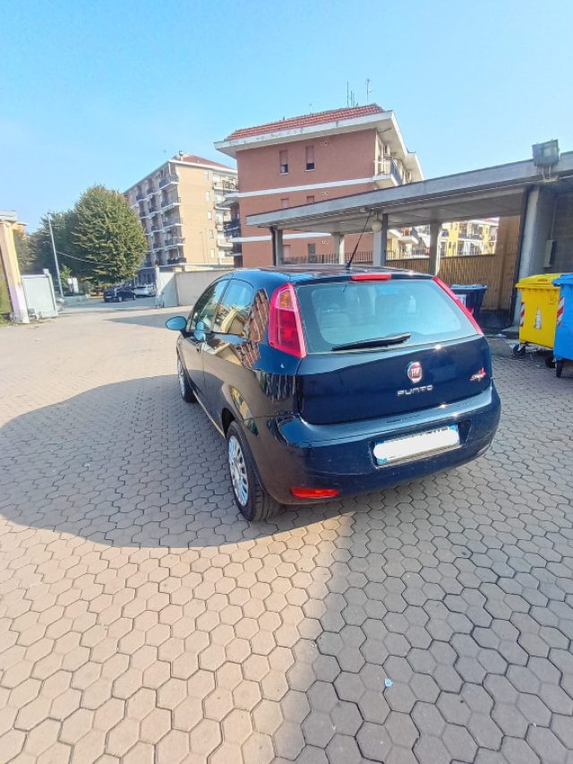 FIAT Punto usata, con Climatizzatore