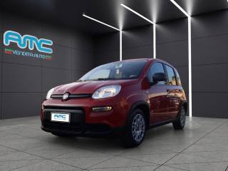 FIAT Panda usata, con Airbag