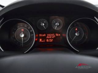 FIAT Punto usata 12