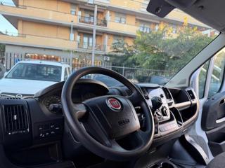 FIAT Ducato usata 13