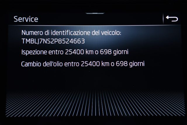 SKODA Kodiaq usata, con Bluetooth