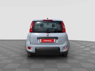 FIAT Panda usata 3