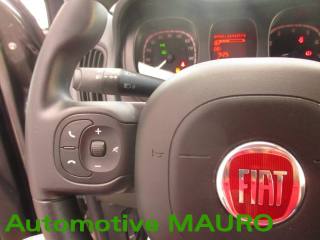 FIAT Panda Cross usata 16