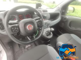 FIAT Panda usata, con Immobilizzatore elettronico