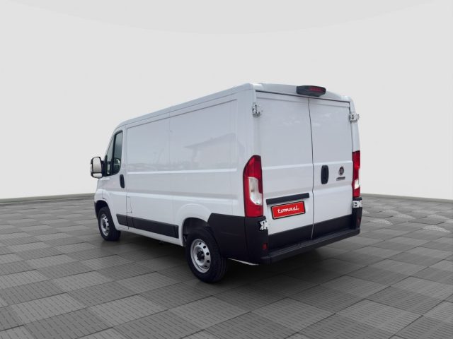 FIAT Ducato usata 2