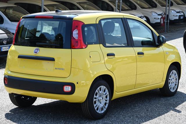 FIAT Panda usata, con Antifurto
