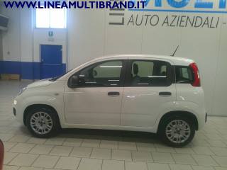 FIAT Panda usata, con Controllo trazione