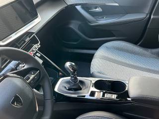 PEUGEOT 2008 usata, con Cruise Control