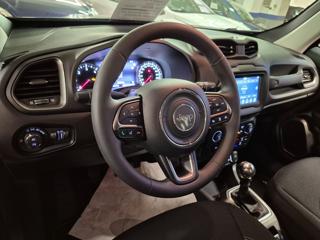 JEEP Renegade usata, con Controllo trazione