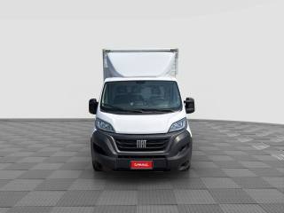 FIAT Ducato usata 6