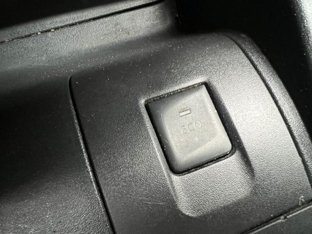 RENAULT Kangoo usata 28