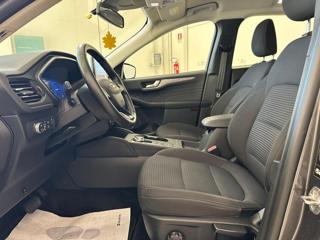 FORD Kuga usata, con Servosterzo