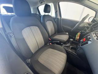FIAT Punto usata 13