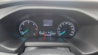 FORD Transit Custom usata, con Vivavoce