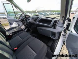 FORD  usata 13