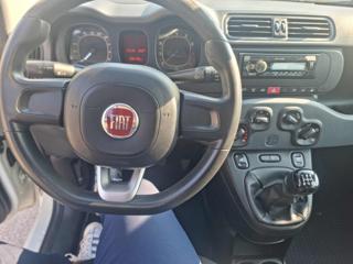 FIAT Panda usata, con Controllo trazione