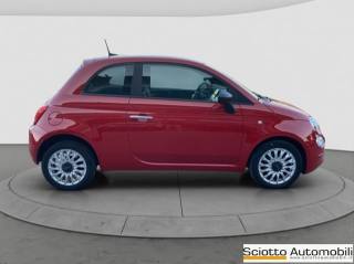 FIAT 500 usata 6