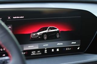 AUDI SQ5 usata, con Interni in pelle