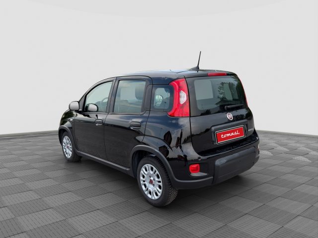 FIAT Panda usata 2