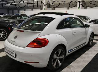 VOLKSWAGEN Maggiolino usata, con Fendinebbia