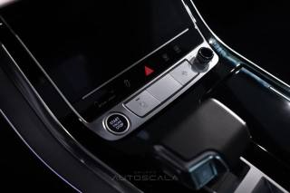 AUDI Q8 usata, con Fendinebbia